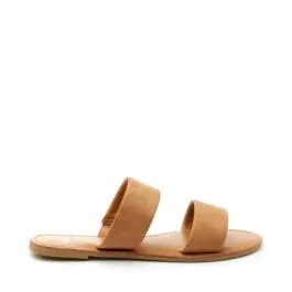 ROY / CAMEL