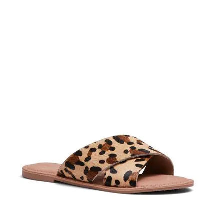 SHADE / Leopard