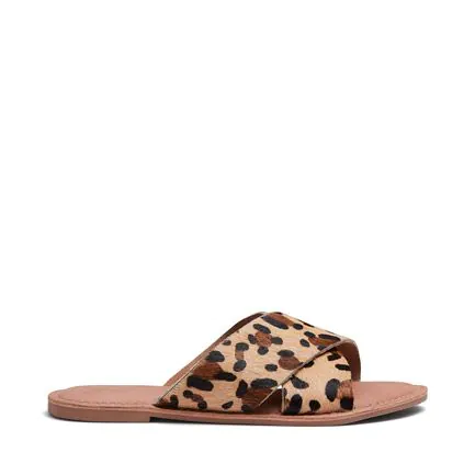 SHADE / Leopard