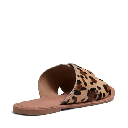 SHADE / Leopard